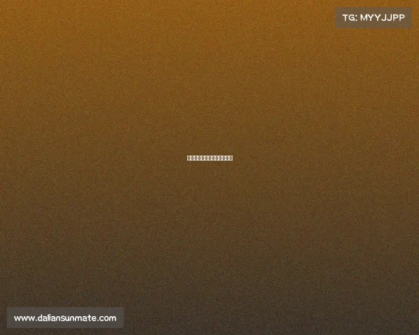 排球赛事女排、排球赛程女子